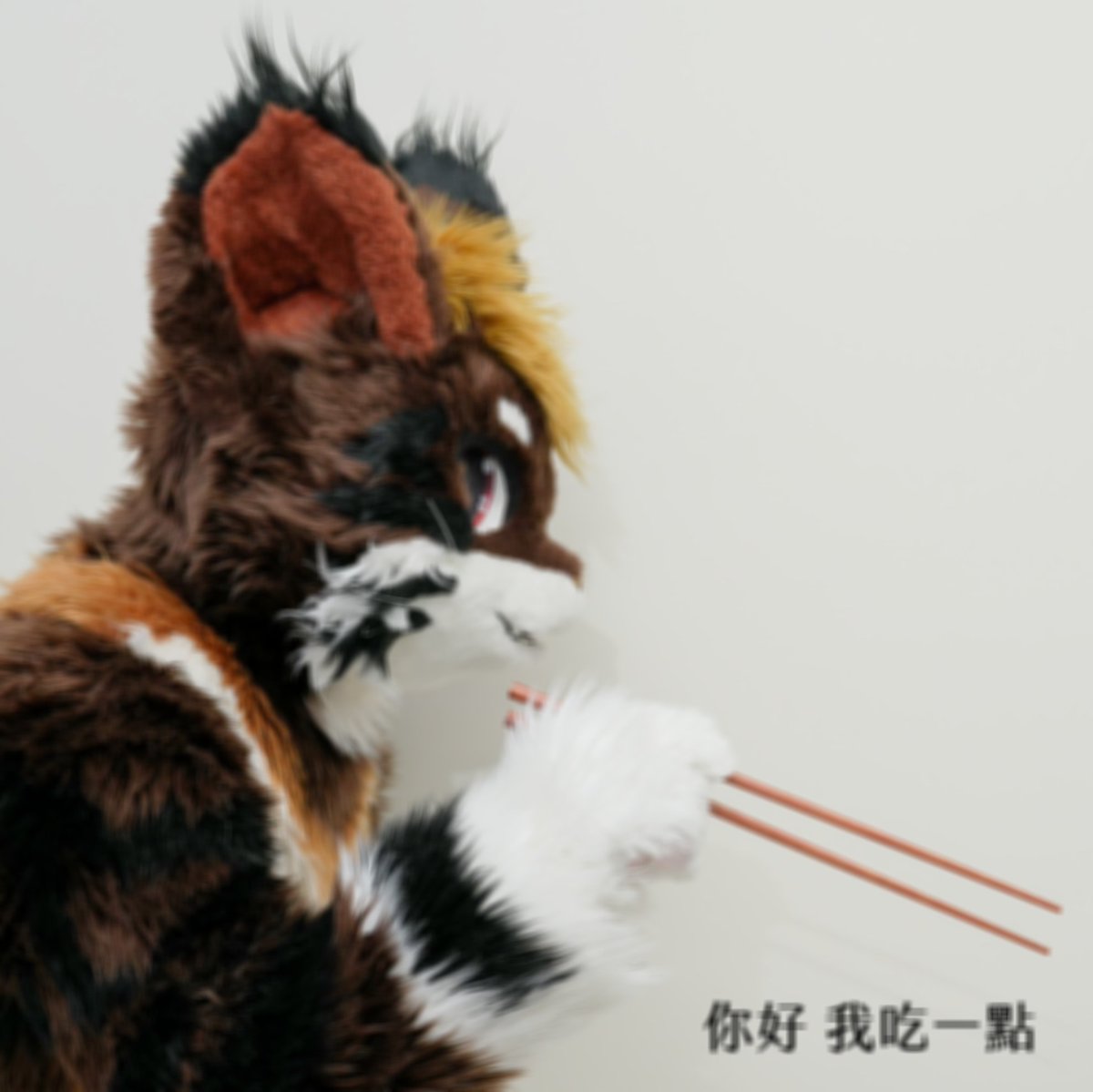 ちょっといただきます。

📷 <a href="/MountainPineTW/">山松 MountainPine 🦊🐿️ ⏭️ UTFG</a> 
✂️ 黑雪工坊kuroyuki
#FursuitFriday #Taiwan #Furry #MaineCoon #黑雪工坊 #UTFG