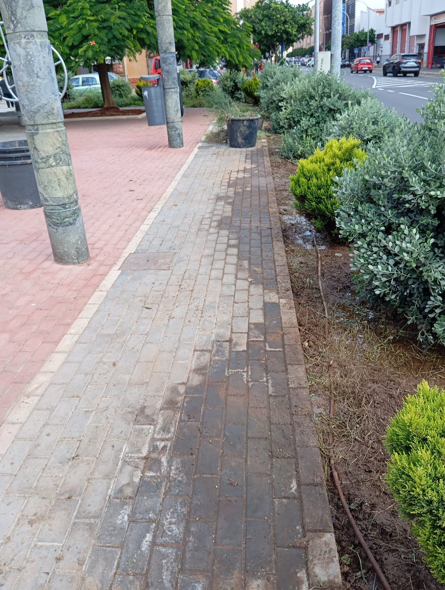 Cadena SER Melilla (@cadenasermel) on Twitter photo Los operarios de <a href="/MedioAmbienteML/">Medio Ambiente CAM</a> han llevado a cabo una labor de desbroce y adecuación de la Plaza Daóiz y Velarde. Los operarios de <a href="/MedioAmbienteML/">Medio Ambiente CAM</a> han llevado a cabo una labor de desbroce y adecuación de la Plaza Daóiz y Velarde.