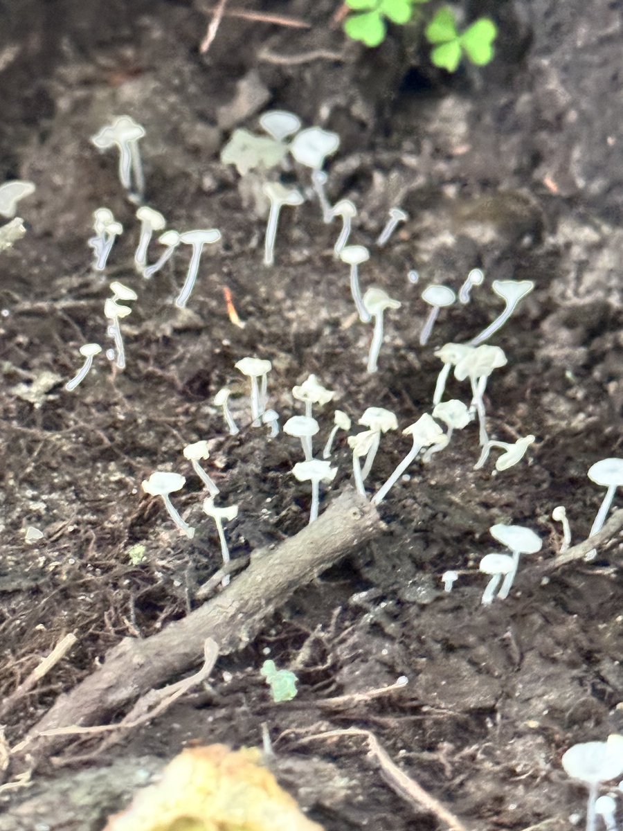Old Woman Creek — the only estuary in Ohio!