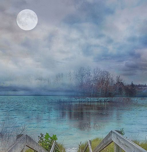 MoonLit Getaway tweet media