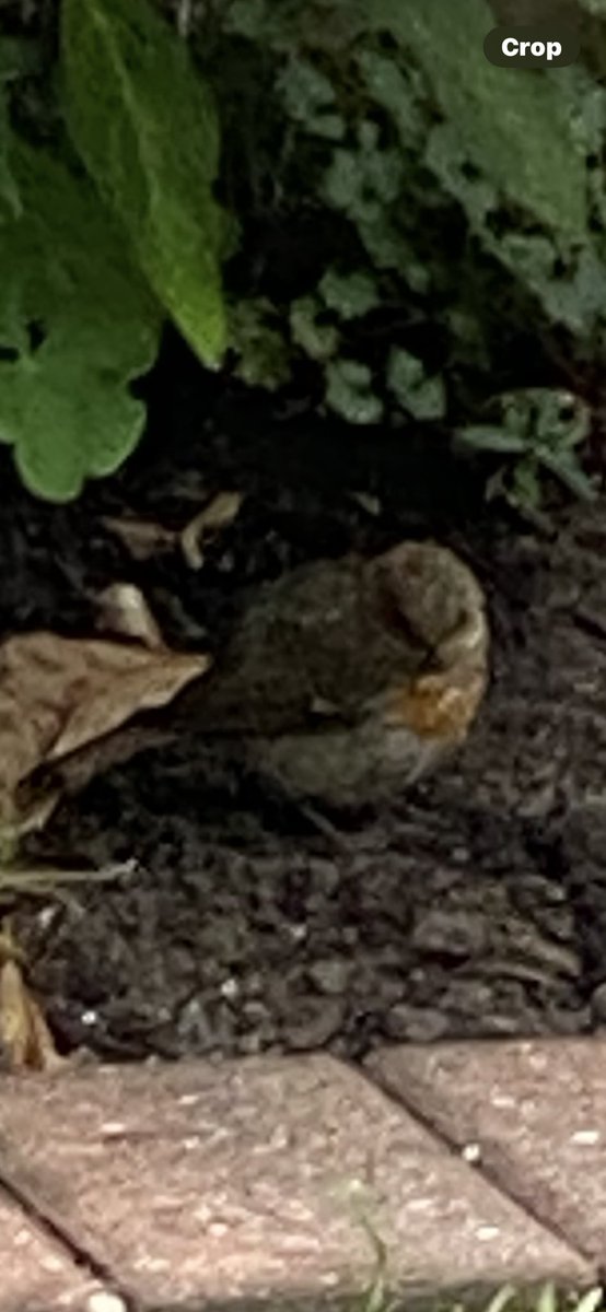 My Best friend and My dad passed away this morning R.I.P Dad