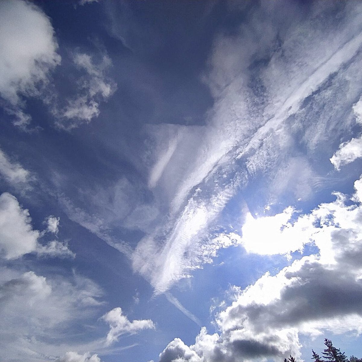 Morgens ganz kurz Sonne und Reste von blauem Himmel in München😍
Es hat aber nichts mit Geoengineering zu tun, dass die “nördlichste Stadt Italiens“ (so genannt wegen der meisten Sonnenstunden in D) in den letzten Jahren nur noch mit einer grauweißen Chemieglocke bedeckt ist🤷‍♀️