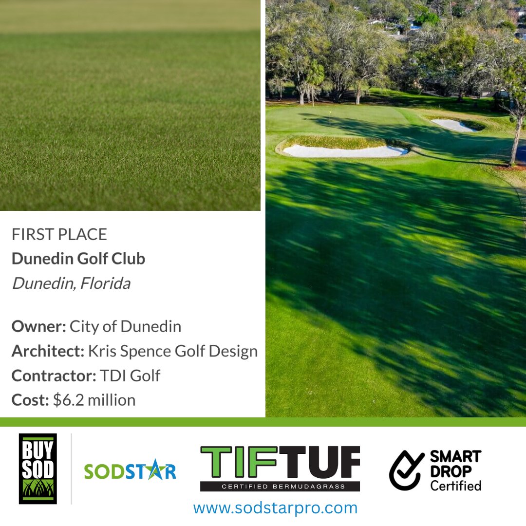 BuySod / SodStarPro (@buysodturf) on Twitter photo Located in Florida, the <a href="/DunedinGolfClub/">Dunedin Golf Club</a> restoration embraced TifTuf Bermudagrass, a choice well-suited to the state's heat and drought conditions. The club returned to its Donald Ross roots, blending historical preservation with modern turf performance. Delivered by Located in Florida, the <a href="/DunedinGolfClub/">Dunedin Golf Club</a> restoration embraced TifTuf Bermudagrass, a choice well-suited to the state's heat and drought conditions. The club returned to its Donald Ross roots, blending historical preservation with modern turf performance. Delivered by