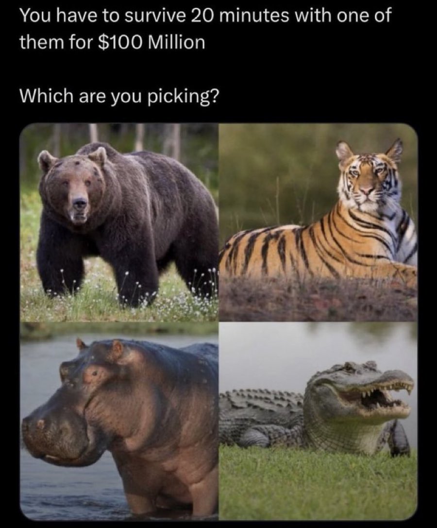No sir, there is no survival
