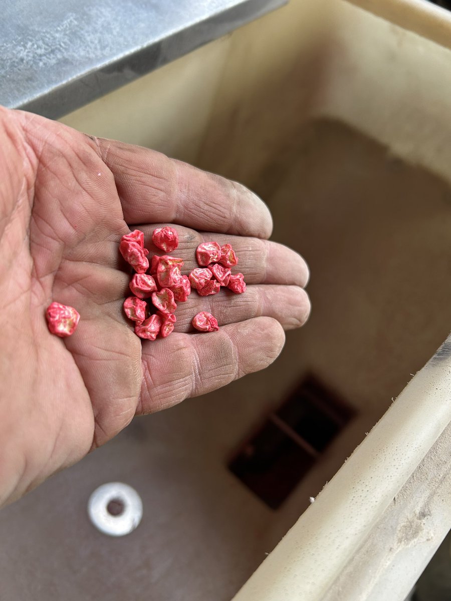 Charles Wright IV tweet media