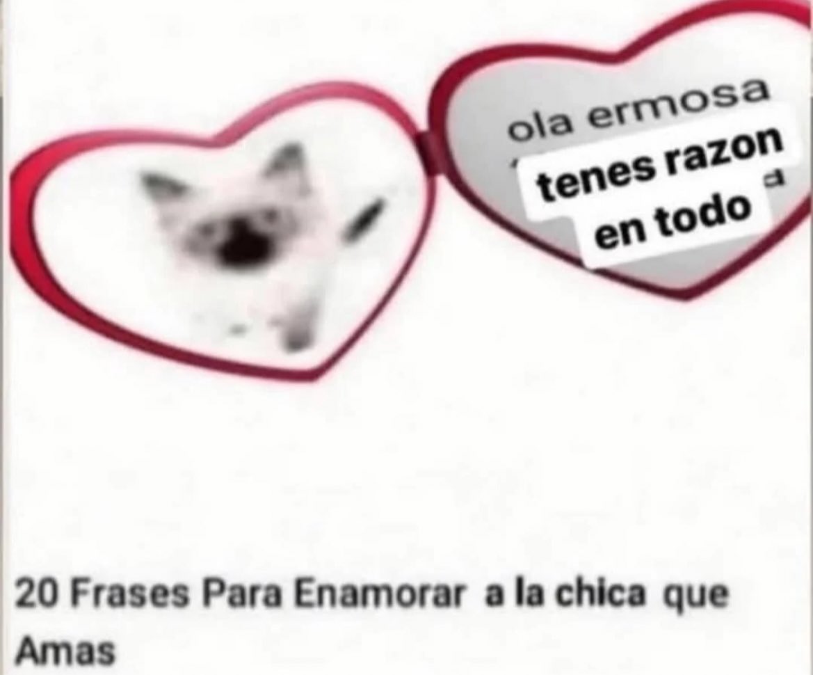 Ulises (@ulisesdavid__) on Twitter photo 