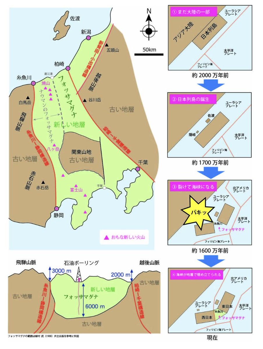 JAEEGAKKAI's tweet image. 140字解説・地震工学282　フォッサ・マグナ
大いなる溝(みぞ)の意。旧日本列島は1600万年前プレートの異なる動きで中央を折られて海峡ができ、その後6000m級の深い地層で埋まりました。地質学者ナウマンが1885年初めて学説を発表してから今年で140年です
fmm.geo-itoigawa.com/event-learning…