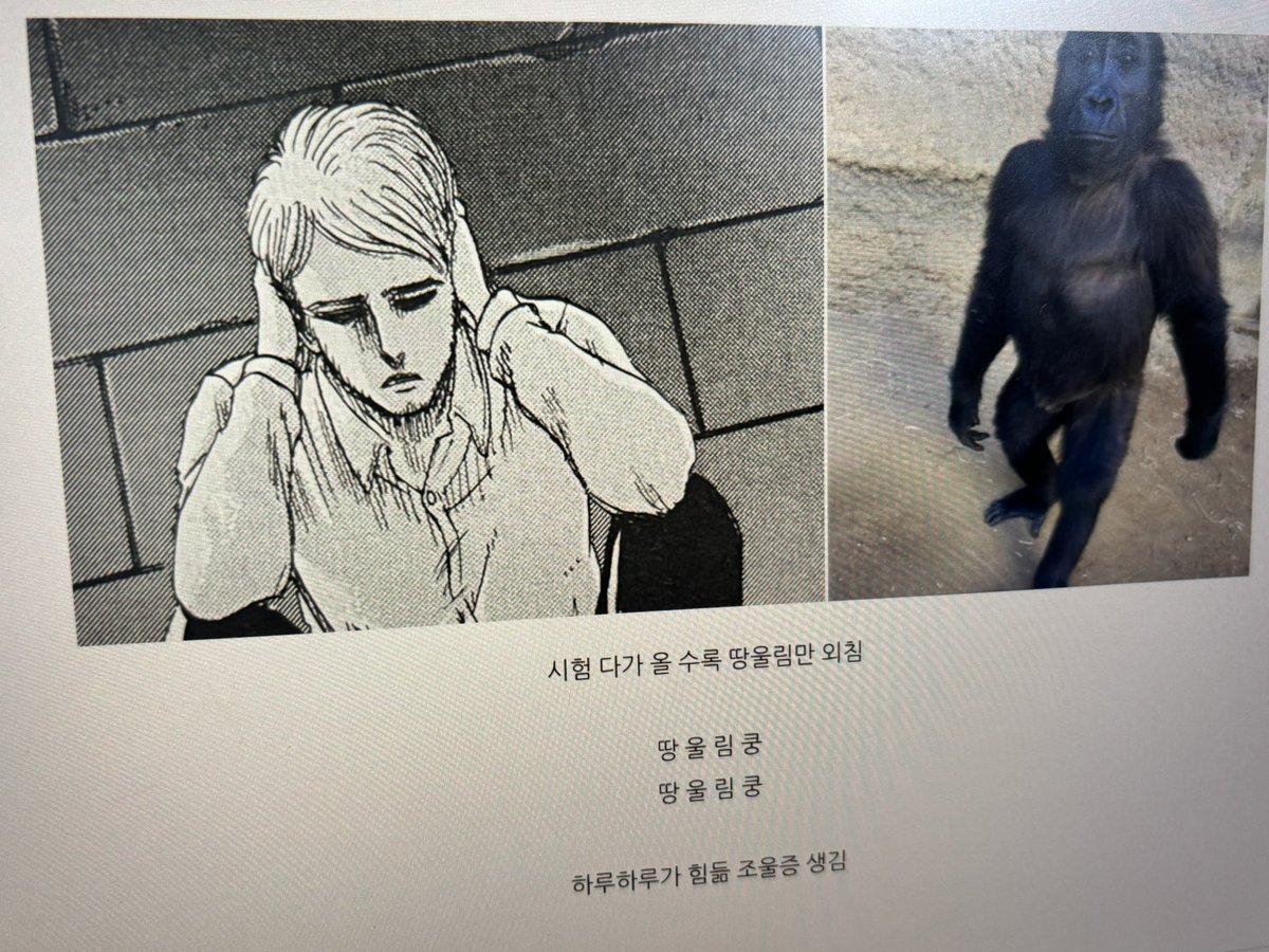 내 블로그 내가 제일많이보고 웃는