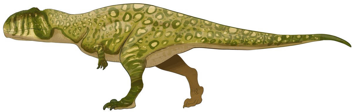 Just a giant southern lizard