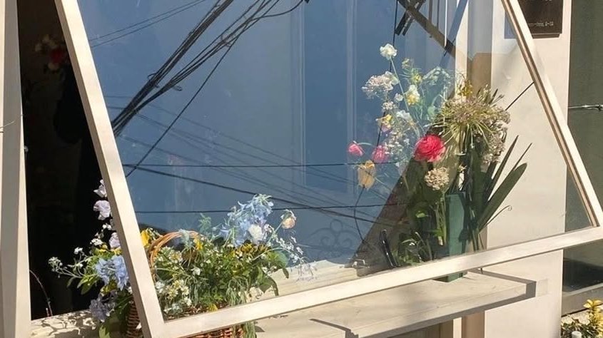 مافي احلي من منظر الورد على الشبابيك