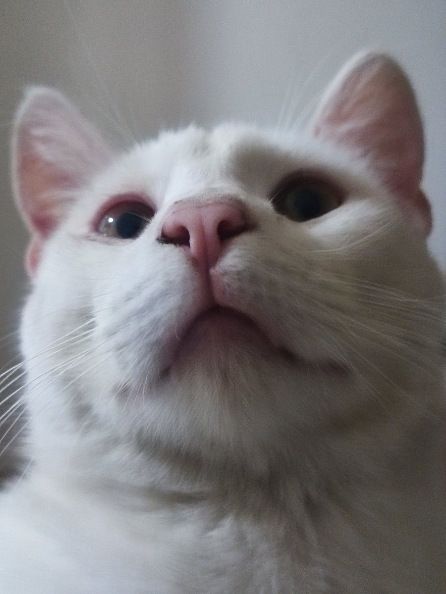 Nikoj
Tetin ti na fb