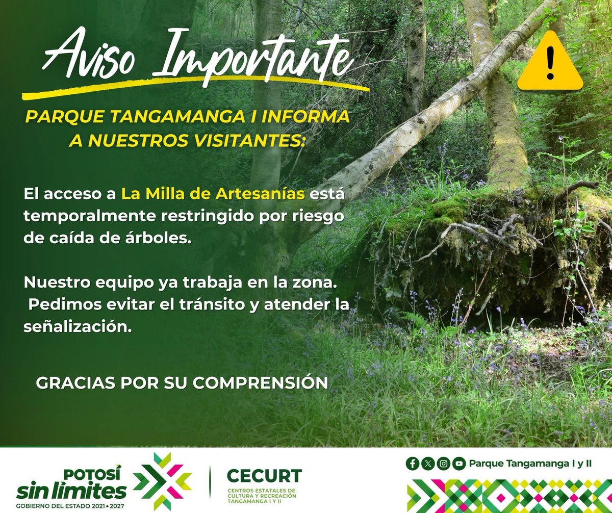 Por motivos de seguridad, se ha restringido temporalmente el acceso a la zona conocida como "La Milla de Artesanías", debido a la presencia de árboles que presentan riesgo de caída.

Nuestro equipo ya se encuentra realizando las acciones necesarias para atender esta situación y