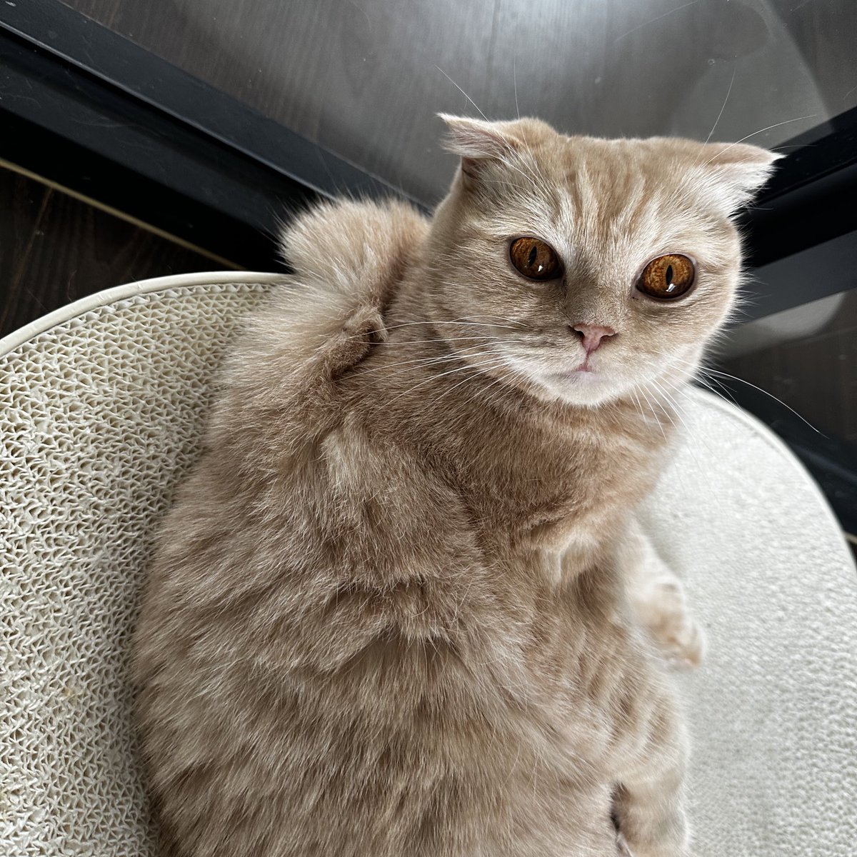 <브로드웨이 블루스>
19, 20, 21 up✨

19편은 화요일에,
20, 21편은 오늘 올라갔어요.
매일 연재 알림을 하면 좋은데 자꾸 깜빡해서 쉽지 않네요ㅎㅎ 두세편씩이라도 모이면 알려드릴게요.

항상 감사합니다🙇‍♀️

tobe.aladin.co.kr/n/471499