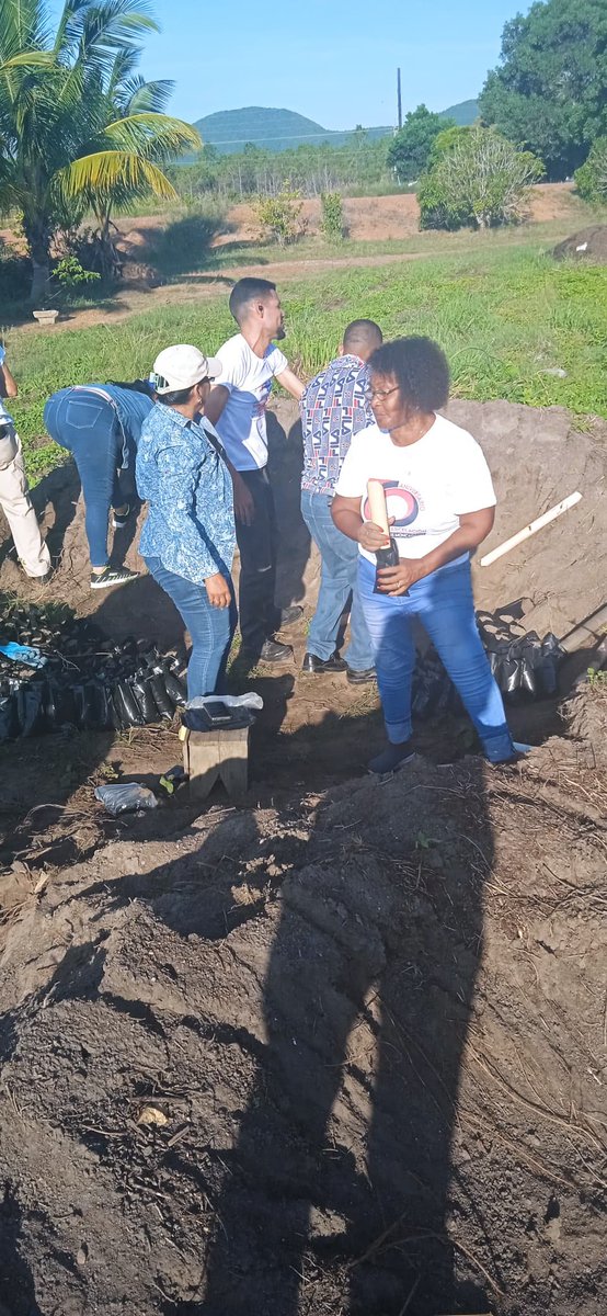 Realiza AMPP llenado de bolsas para la siembra de plantas proteicas, para posterior uso en comida de ganado.
<a href="/amppij/">AMPPIJ</a> 
<a href="/AsambleaCuba/">Asamblea Nacional Cuba</a> 
<a href="/DiazCanelB/">Miguel Díaz-Canel Bermúdez</a> 
#IslaDeLaJuventud
#PoderPopular