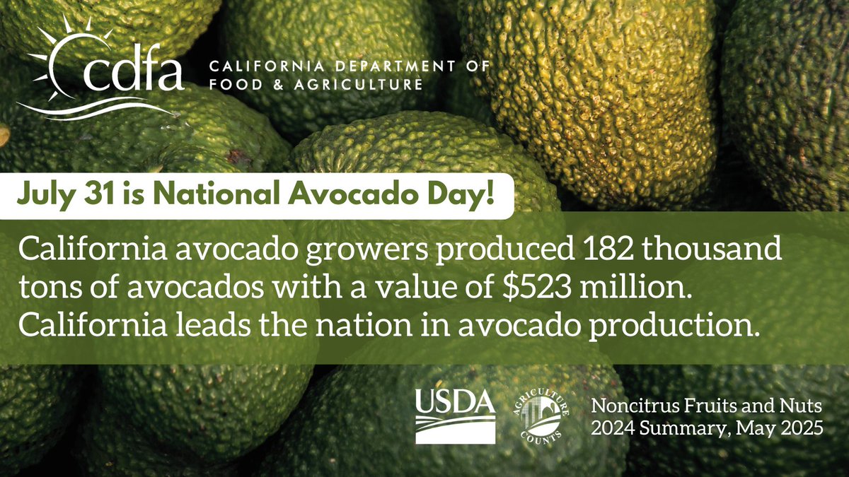🥑 July 31 is #NationalAvocadoDay!
California leads the United States in avocado production—182,000 tons worth $523 million. Cheers to our hardworking growers and the delicious fruit they provide!
#CalAg #CaliforniaGrown #Avocados #AgFacts