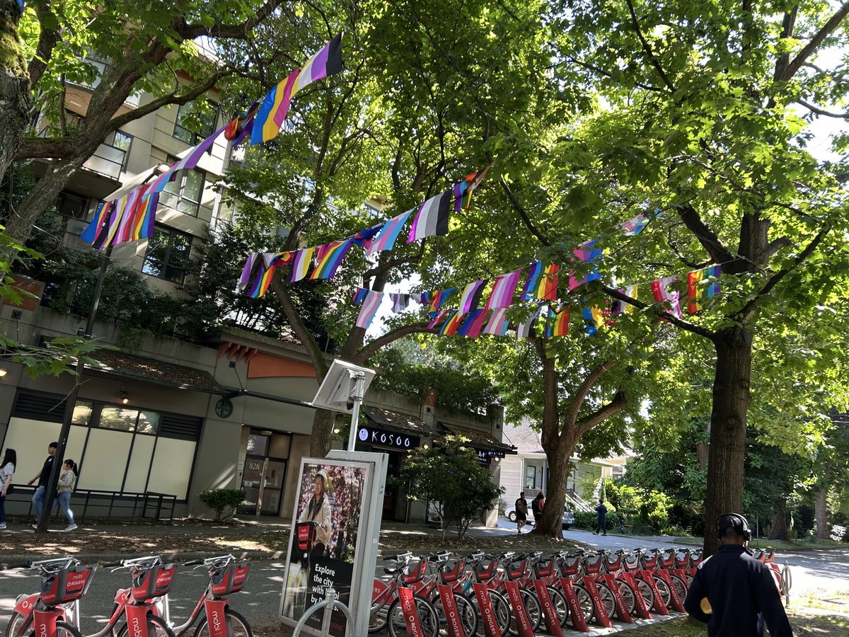 A dizzying array of Pride flags in downtown Vancouver.

I have absolutely no idea as to which flag excludes which gender identity. 

Can anyone who is well-versed in the subject help me out?

This is on Nicole Street just north of Robson.