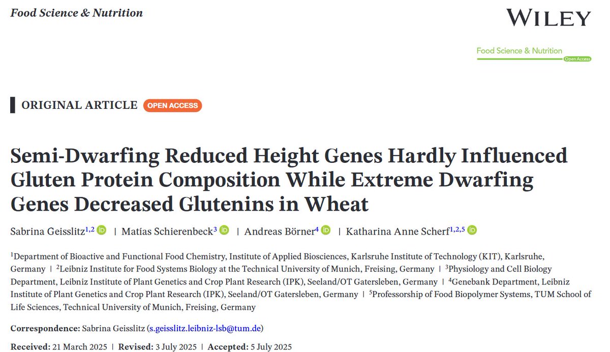Glad to contribute to a new study on the impact of Green Revolution alleles Rht1 and Rht2 on wheat grain quality 🌾
<a href="/LeibnizLSB/">Leibniz-Institut für Lebensmittel-Systembiologie</a>
onlinelibrary.wiley.com/doi/epdf/10.10…