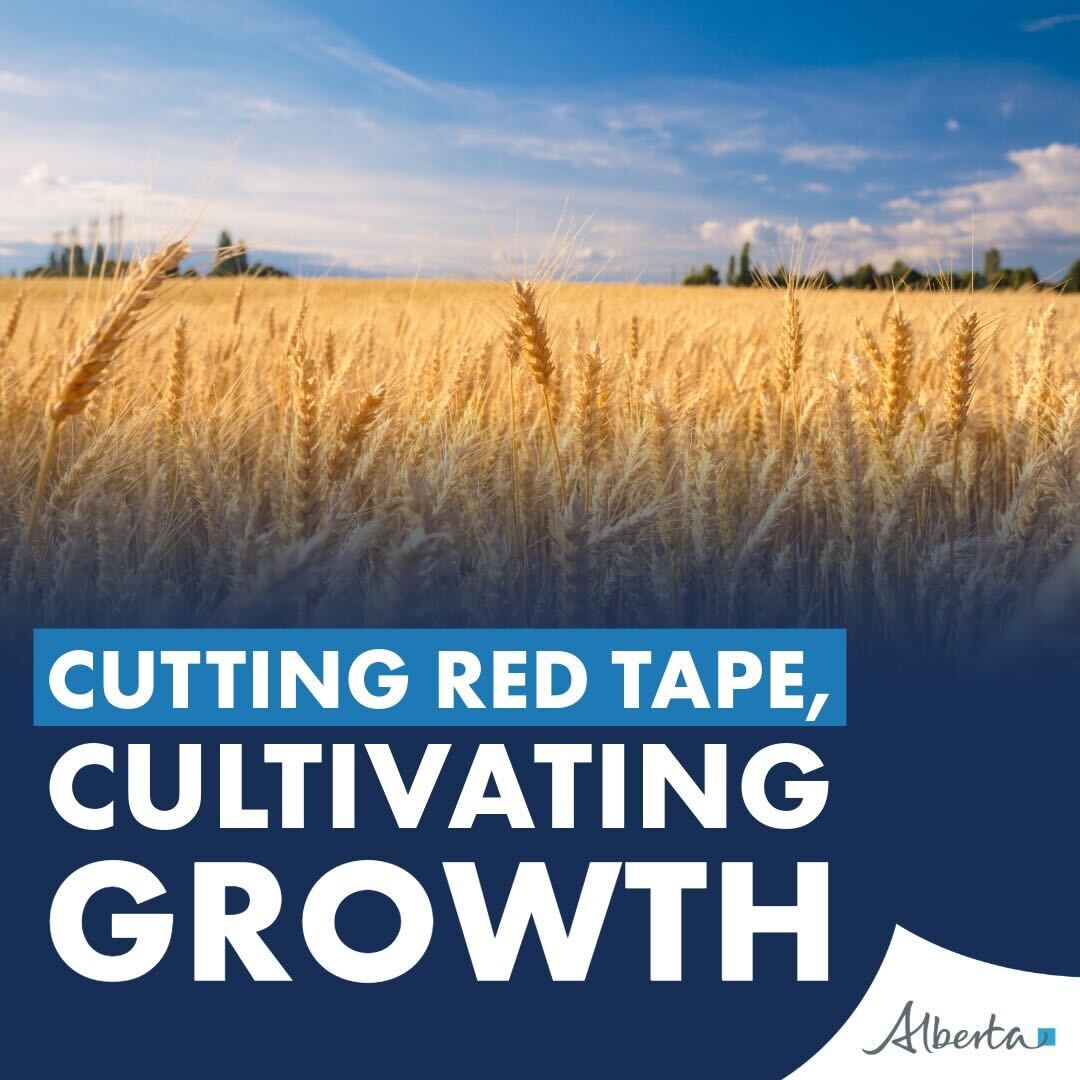 Less red tape, more growth! Alberta’s government is cutting 28.5% of unnecessary regulations for ag marketing boards—freeing up time for producers to focus on what matters: feeding Alberta and the world.

Full news release here&gt;&gt;alberta.ca/release.cfm?xI…

#abpoli #agleg