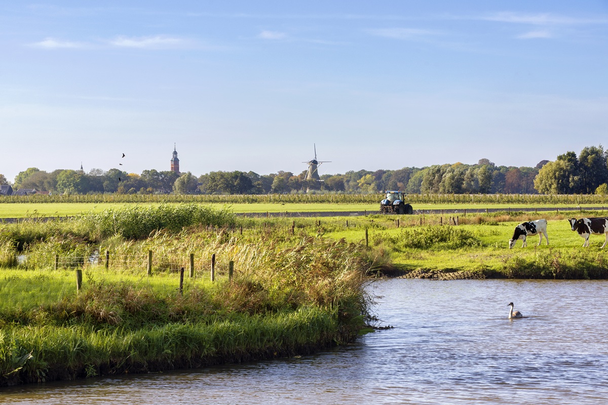 Wij gaan met het Ministerie van Maak! een experiment aan. Samen met ontwerpers, bedrijven, onderzoekers, creatieve makers, ervaringsdeskundigen én inwoners leren we anders denken en doen bij belangrijke ruimtelijke vraagstukken. 👇

bit.ly/45eoFHG