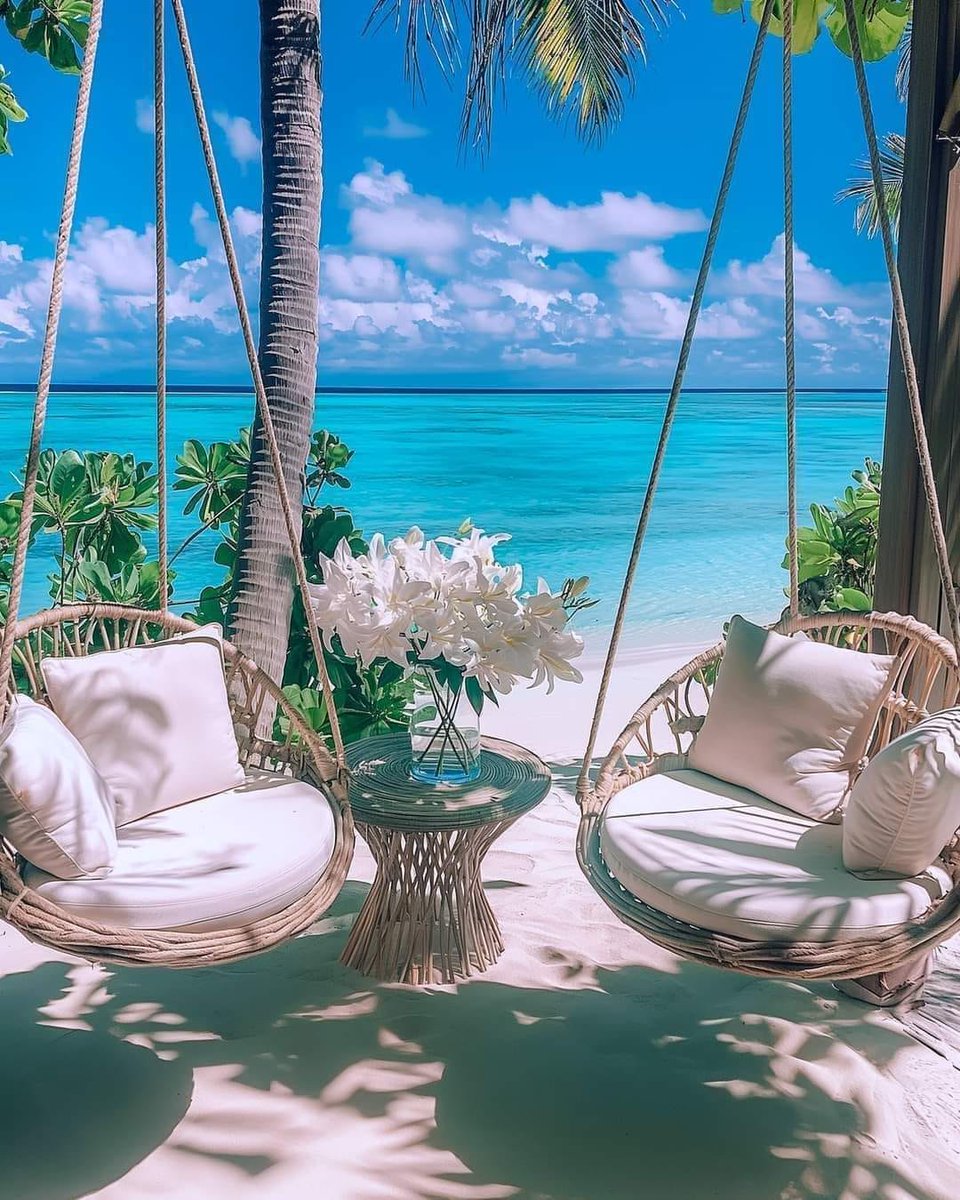 Tropical Paradise