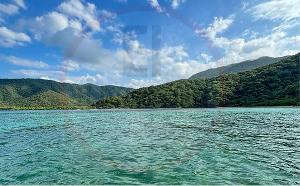 #SantaMarta500Años |✨ Descubre Playa Chengue: el secreto mejor guardado del Parque Tayrona 🌊 ⤵️
elinformador.com.co/index.php/500-…
