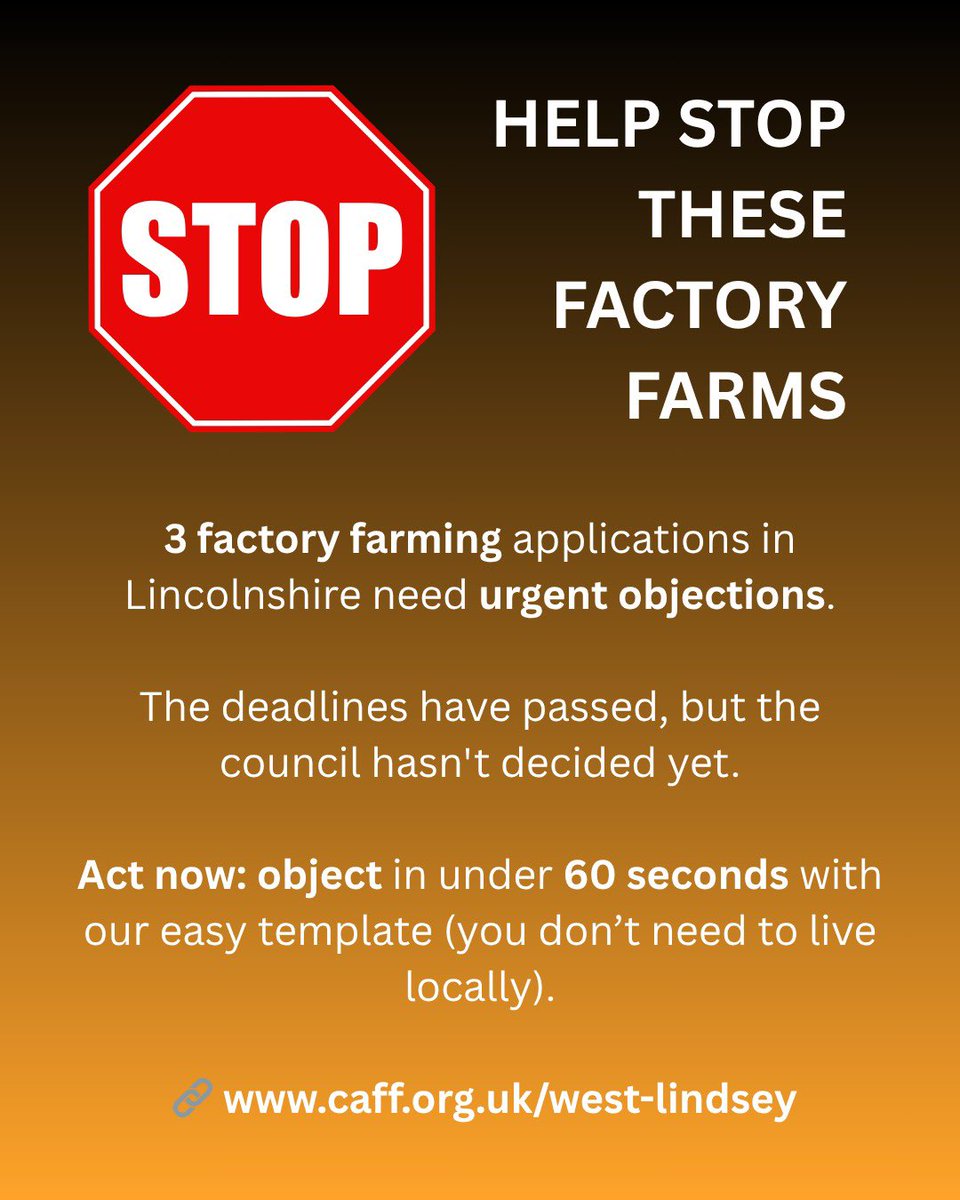 ScrapFactoryFarming tweet media