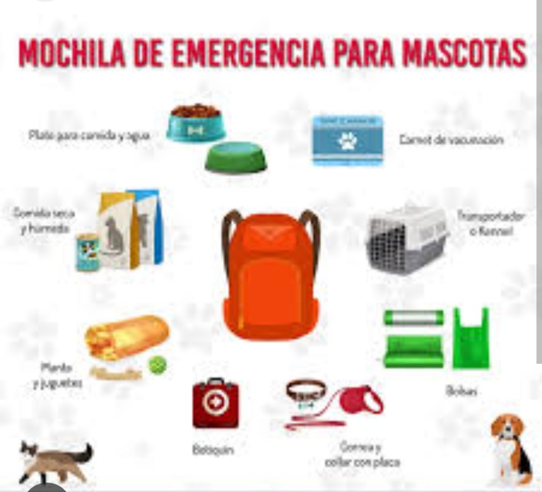 Si tienes que Evacuar, NO OLVIDES HACERLO CON TUS ANIMALITOS,... Recuerda que ellos también son parte de la Familia y también se asustan y sufren frente a una emergencia.
Entonces NO los dejes atrás, NO los abandones, ellos jamás lo harían👍 🙏 Ellos son tu responsabilidad 👍