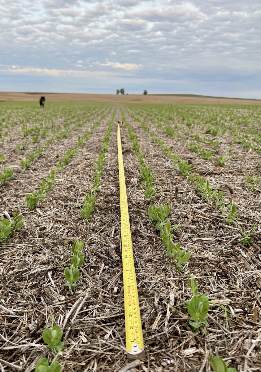 Alexis Gonzalez tweet media