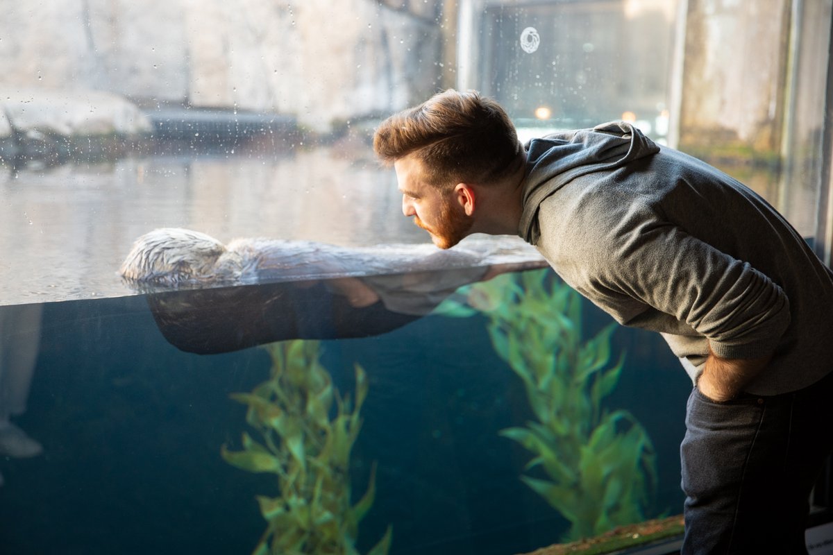 <a href="/Pokemon/">Pokémon</a> I run a yearly charity stream for Monterey Bay Aquarium in September, we've raised $1m over 6 years. Would you send me some stuff so that I can raffle it off for charity? Could be literally anything.  This is a real request, DM me if you're interested! #SaveTheOcean