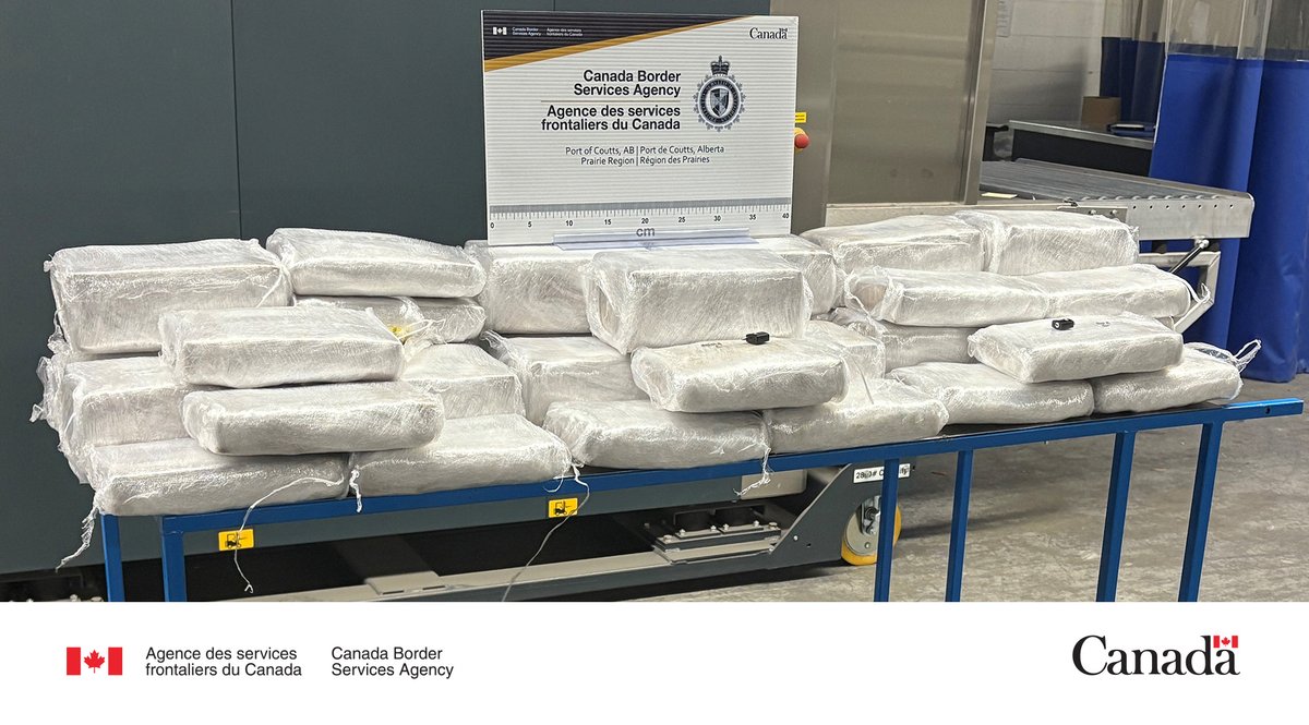 Agence des services frontaliers du Canada (@frontierecan) on Twitter photo Les agents de l'#ASFC au point d'entrée de #Coutts, en #Alberta, saisissent près de 67 kg de cocaïne dans un camion commercial. <a href="/GRCAlberta/">GRC Alberta</a> a porté des accusations contre le conducteur pour trafic de stupéfiants. #ProtégerLesCanadiens
Pour en savoir plus: canada.ca/fr/agence-serv… Les agents de l'#ASFC au point d'entrée de #Coutts, en #Alberta, saisissent près de 67 kg de cocaïne dans un camion commercial. <a href="/GRCAlberta/">GRC Alberta</a> a porté des accusations contre le conducteur pour trafic de stupéfiants. #ProtégerLesCanadiens
Pour en savoir plus: canada.ca/fr/agence-serv…