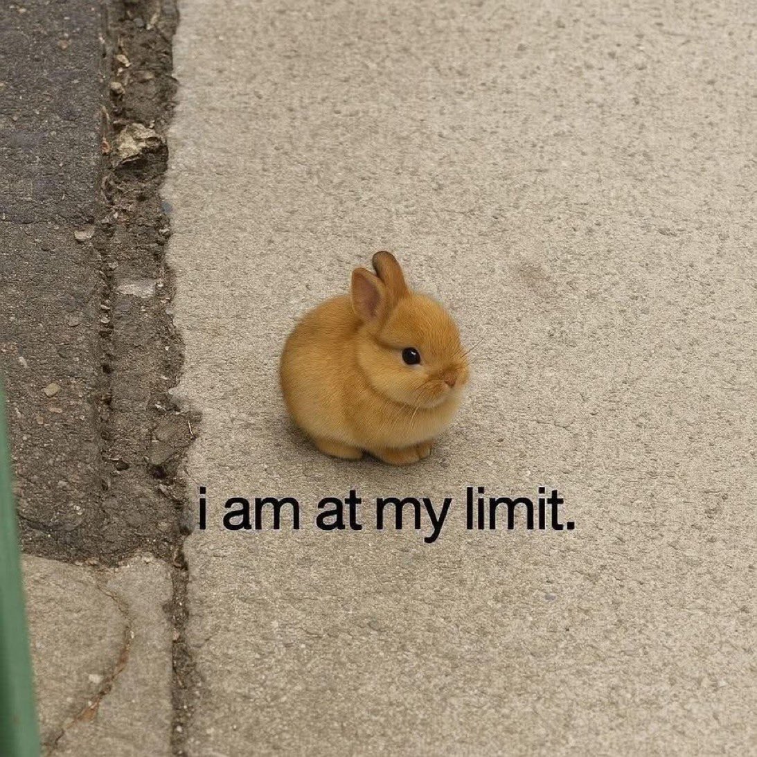 venus in my 12th house. mercury retrograde in my 1st.