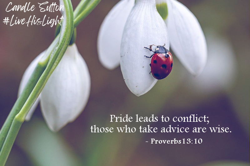 candlesutton's tweet photo. Never be too proud to accept wise counsel, but always line that counsel up with scripture. If it doesn't align, it's not truly good counsel.

#LiveHisLight #SeekWisdom https://t.co/LZ2pWmzH6b