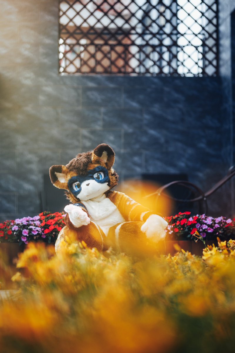 待芳

Photo by <a href="/chungou_cn/">📸風剣　NEXT👉万兽汇</a> 
#FursuitFriday