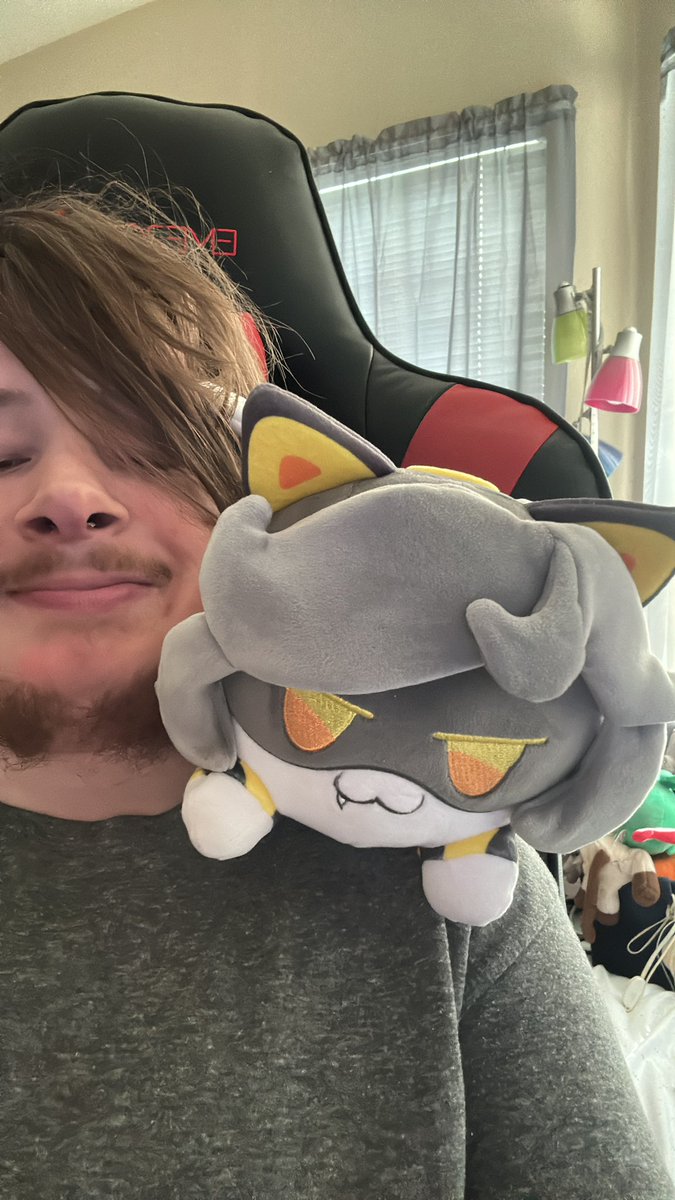 wcstyckYT's tweet image. The v cat zone