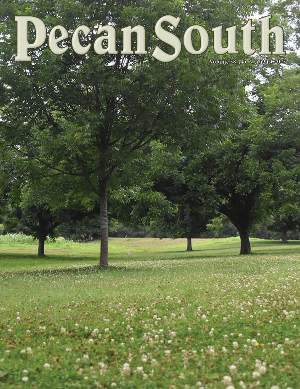 August is a packed issue of Pecan South. We review early crop estimates and take a closer look at on-farm shedding practices, as well as the emergence of pecan leaf spots outside of the United States. 
Our Cover photo 📸 was taken at the Orchard of Bill &amp; Gloria Beasley, in LA.