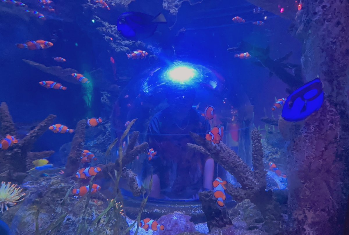 Been swimming with the fishes 🐠