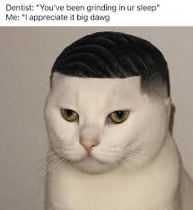 took a break from crypto-twitter to focus on my career and mental health. I’m glad i did. 

it’s important to touch grass and appreciate life. 

anyways, back to the grindset.
