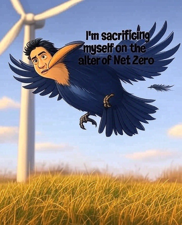 tractorgirly's tweet image. Red Ed wants to sacrifice our energy security and wildlife so he can virtue over us!

There’s a reason he was never elected as Prime Minister never forget that! 

#NetZeroScam