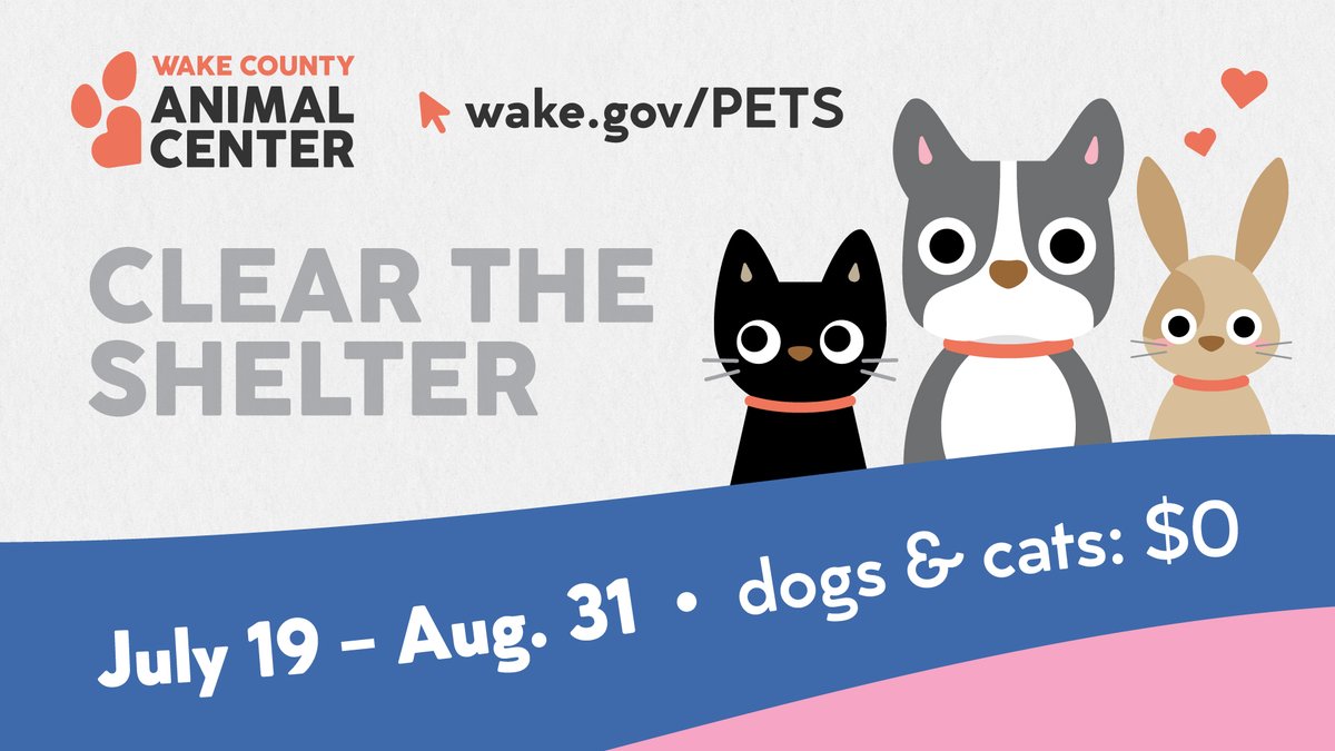 Looking for love? A best friend? A couch buddy?
Now’s the perfect time to find them because it’s Clear the Shelters month at Wake County Animal Center!

 And here’s the best part: adoption fees are waived through August 31 as part of our Clear the Shelter Extravaganza!