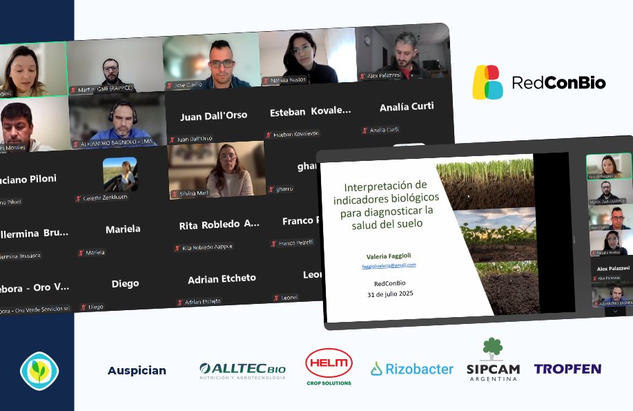 🌱 💬 Seguimos formándonos para la adopción de tecnologías bio.

Hoy llevamos adelante un nuevo encuentro de la #RedConBIO enfocado en la interpretación de indicadores biológicos para diagnosticar la salud del suelo, a cargo de la Ing. Agr. Valeria Faggioli. 💪

#TecnologíasBio