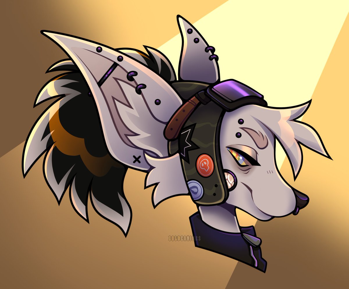 ⚡️ AF Attack (3)