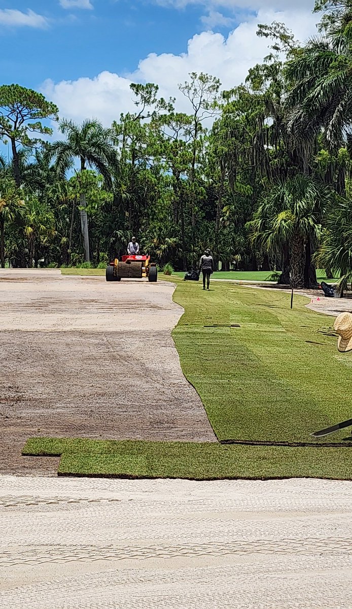 Lookey here <a href="/turfmonkeyboy/">john reilly</a> , I grew in my sprigs during the truck ride down from Pike Creek!
