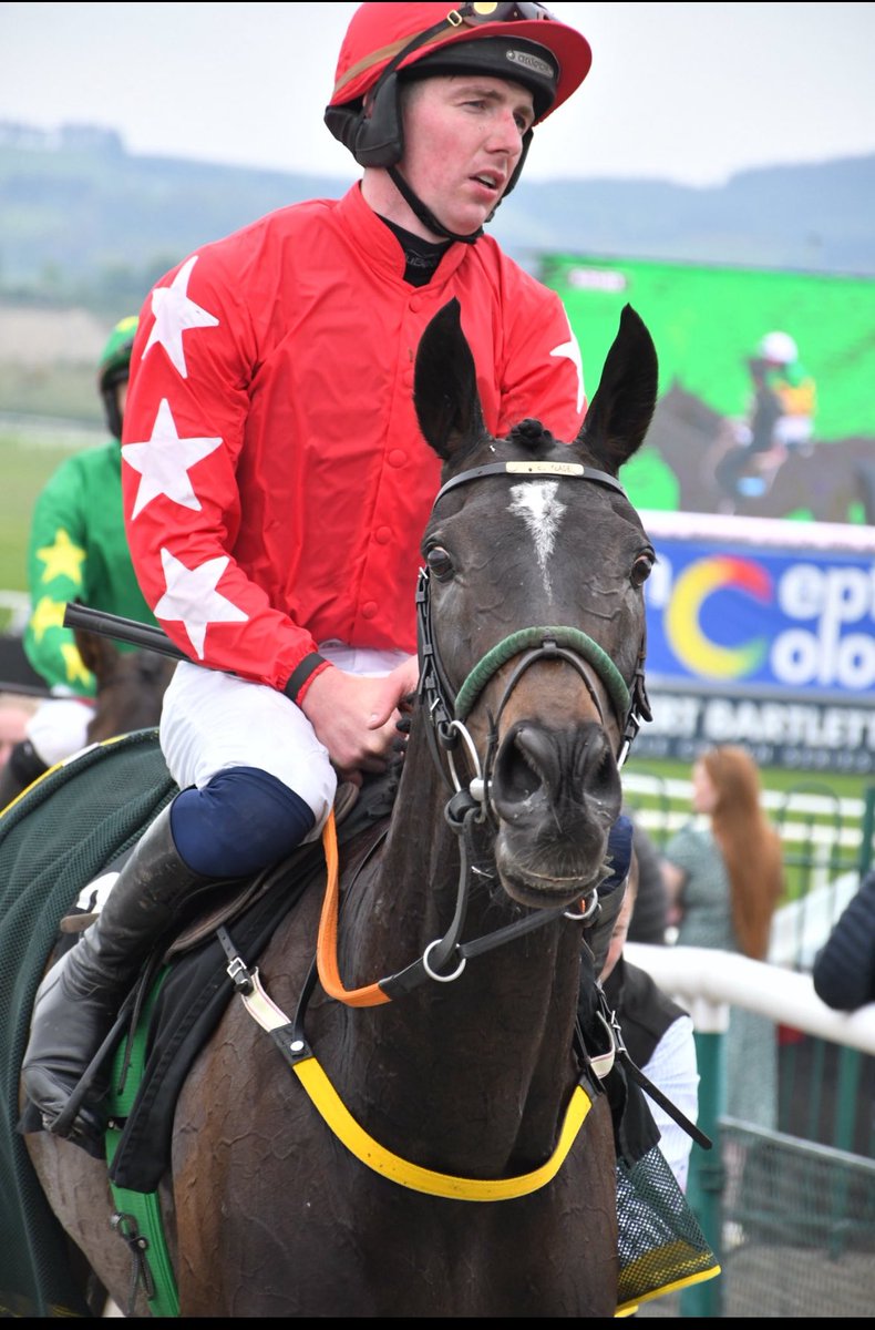 Bleahen Brothers (@bleahenbrothers) on Twitter photo Another terrific performance from <a href="/BleahenBrothers/">Bleahen Brothers</a> stalwart JESSE EVANS 2nd in the Galway plate yesterday for <a href="/tuvastables/">Noel Meade Racing</a> <a href="/SingletonJack/">Jack Singleton</a> - Now a winner of β¬400,000 and has made the frame in 4 <a href="/Galway_Races/">Galway Races</a> Features. Sold <a href="/Goffs1866/">Goffs</a> as a storeππ Another terrific performance from <a href="/BleahenBrothers/">Bleahen Brothers</a> stalwart JESSE EVANS 2nd in the Galway plate yesterday for <a href="/tuvastables/">Noel Meade Racing</a> <a href="/SingletonJack/">Jack Singleton</a> - Now a winner of β¬400,000 and has made the frame in 4 <a href="/Galway_Races/">Galway Races</a> Features. Sold <a href="/Goffs1866/">Goffs</a> as a storeππ