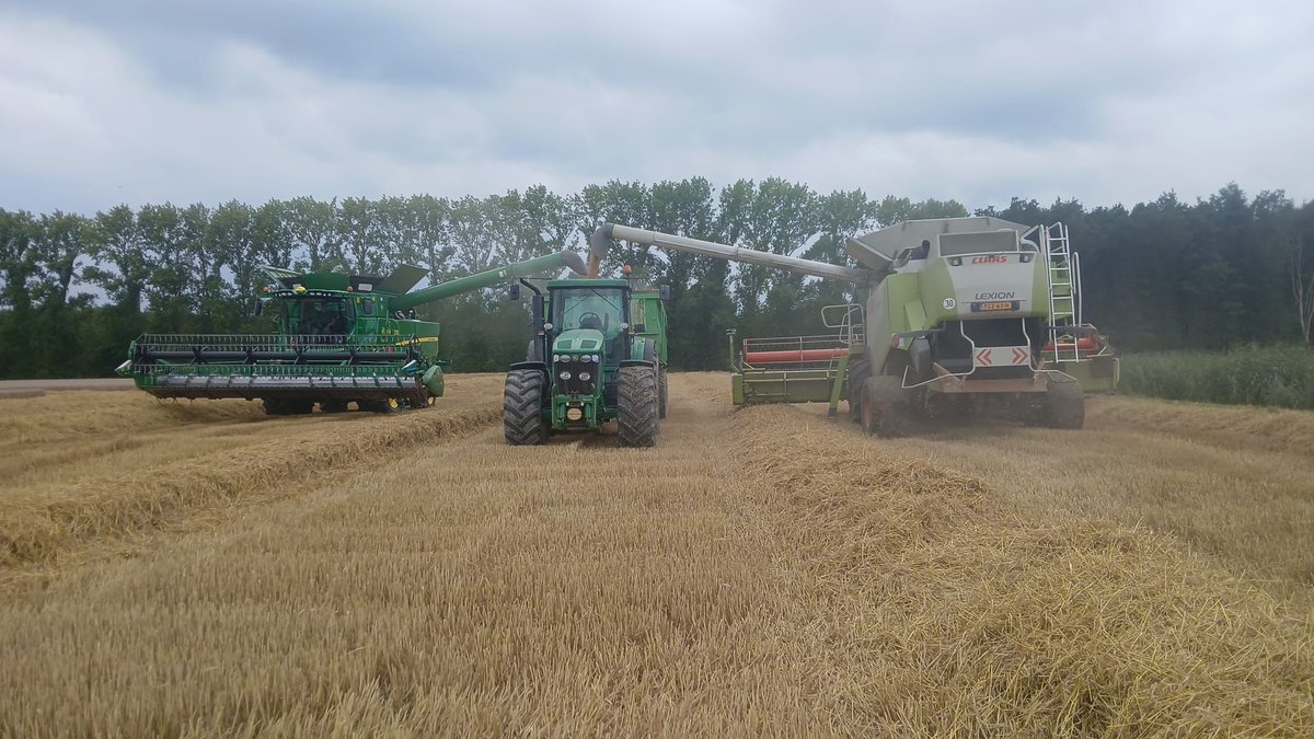 <a href="/AnkoHavinga/">Anko Havinga</a> <a href="/johan_emmens/">Johan Emmens</a> Niet alleen in ons hoofd 🙈 <a href="/AkkerbouwKroes/">Akkerbouw Kroes</a> <a href="/MarkRademakers/">Mark Rademakers</a>