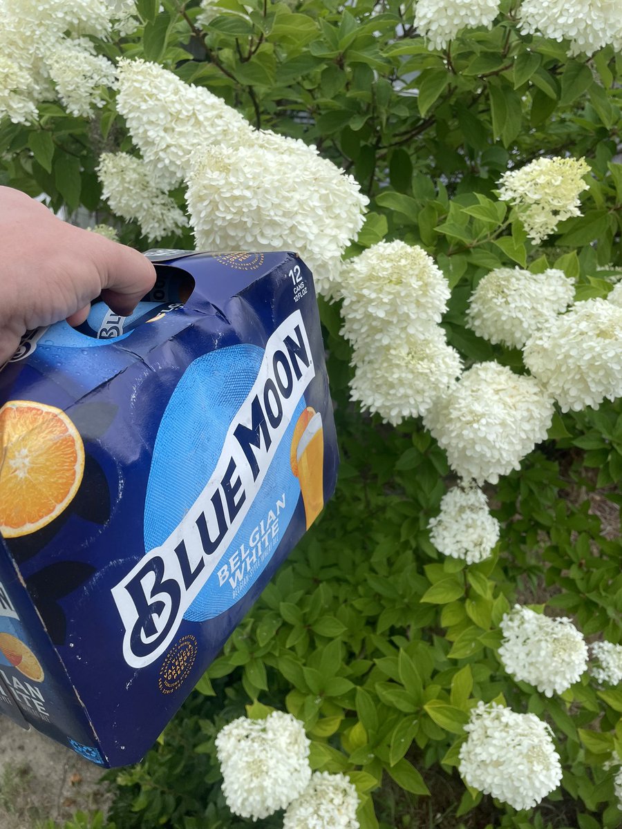 Stop and Smell the Flowers ….. and crush beer 🍺