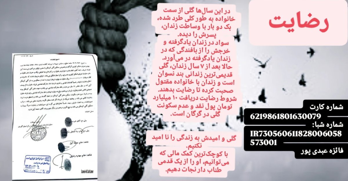 Faeze Abdipour|فائزه عبدی‌پور tweet media