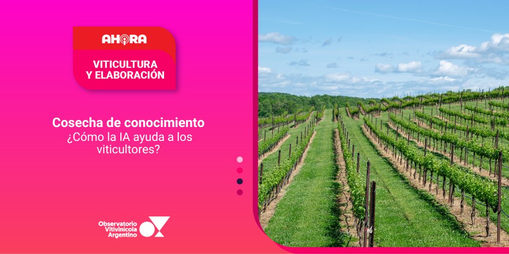 🔴 AHORA⎥ VITICULTURA Y ELABORACIÓN
Cosecha de conocimiento: cómo la IA ayuda a los viticultores
observatoriova.com/ahora/cosecha-…
Conocé todas nuestras alertas en 👉🏼 observatoriova.com/ahora/ #AhoraOVA #ViticulturayElavoración