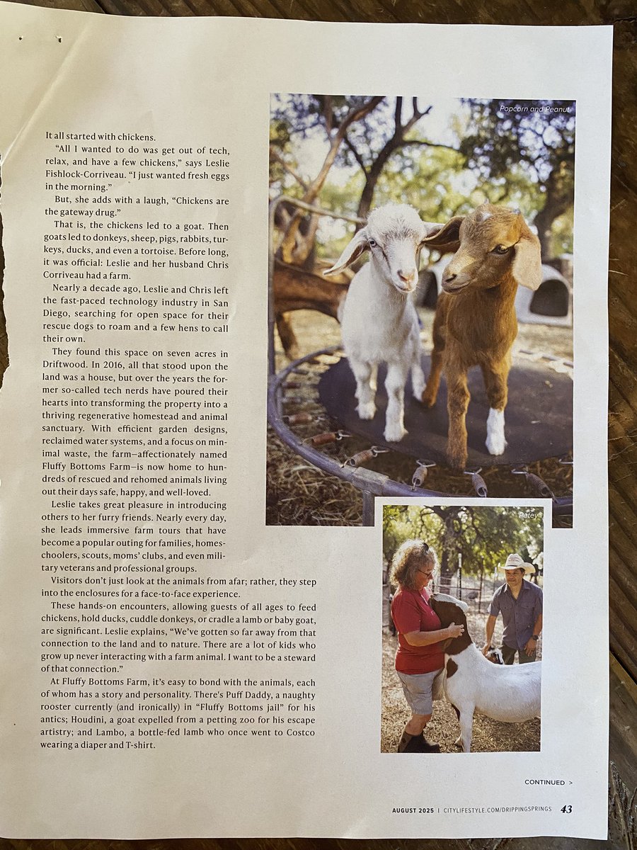 FluffyBottomsFarm tweet media