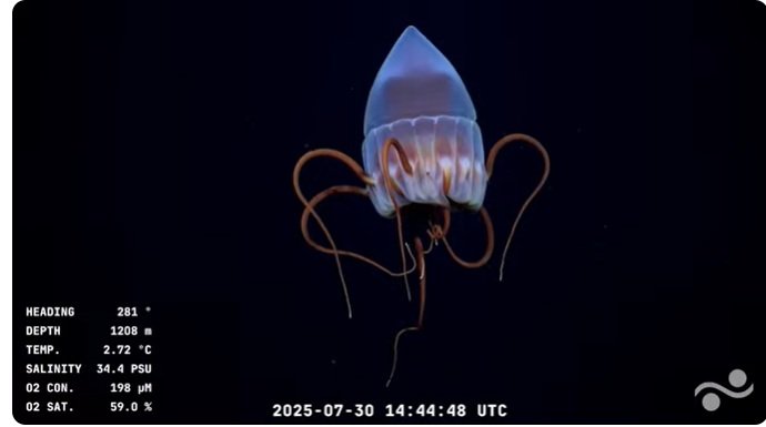 Acuario
Diosa total reina queen