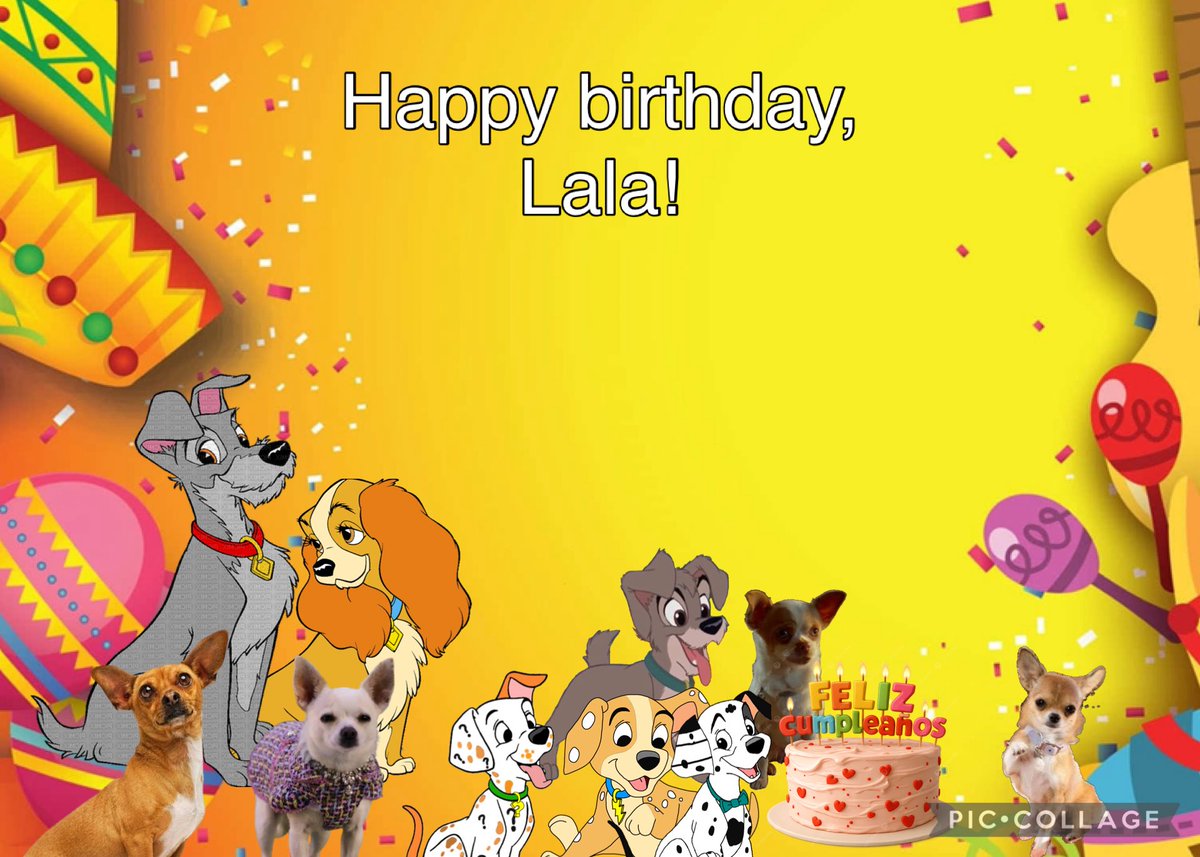 ๐พ แดแดแดษช แดส ๐พ (@xbevhillspapijr) on Twitter photo Happy birthday, Lala! <a href="/BevHillsLalaX/">๐๐ข๐ญ๐ข ๐๐ด๐ฉ๐ฆ ๐๐ฐ๐ณ๐ต๐ฆ๐ป</a>
From me, <a href="/XLightingJr101X/">๐พโก ๐ฟ๐พ๐ ๐ฟ๐พ๐๐ฝ๐๐๐พ๐๐ ๐ฅ๐ ๐พโก</a> <a href="/Mysterypup2024/">โMysteryโ</a> <a href="/ScampMuttPup/">๐๐๐๐๐ก ๐๐ฆ๐ฅ๐ฅ</a> <a href="/CasperDalmati/">๐ป๐พ Casper Dalmatian The Friendly GhostPuppy๐ป๐พ</a> <a href="/XBevHillsChloeX/">๐๐พ ๐๐ฑ๐ต๐ธ๐ฎ ๐ฆ๐ฒ๐ท๐ฝ๐ฑ๐ป๐ธ๐น ๐๐ผ๐ฑ๐ฎ ๐๐พ</a> (Mom) <a href="/XBevHillsPapi/">โจ๐พ Pแดแดษช Cแดสแดแดแดข โจ๐พ</a> (Dad) <a href="/XOneUptownPooch/">โณ๐พ๐๐ โ๐ถ๐น๐</a> and <a href="/OneScruffyStray/">Tramp</a> Happy birthday, Lala! <a href="/BevHillsLalaX/">๐๐ข๐ญ๐ข ๐๐ด๐ฉ๐ฆ ๐๐ฐ๐ณ๐ต๐ฆ๐ป</a>
From me, <a href="/XLightingJr101X/">๐พโก ๐ฟ๐พ๐ ๐ฟ๐พ๐๐ฝ๐๐๐พ๐๐ ๐ฅ๐ ๐พโก</a> <a href="/Mysterypup2024/">โMysteryโ</a> <a href="/ScampMuttPup/">๐๐๐๐๐ก ๐๐ฆ๐ฅ๐ฅ</a> <a href="/CasperDalmati/">๐ป๐พ Casper Dalmatian The Friendly GhostPuppy๐ป๐พ</a> <a href="/XBevHillsChloeX/">๐๐พ ๐๐ฑ๐ต๐ธ๐ฎ ๐ฆ๐ฒ๐ท๐ฝ๐ฑ๐ป๐ธ๐น ๐๐ผ๐ฑ๐ฎ ๐๐พ</a> (Mom) <a href="/XBevHillsPapi/">โจ๐พ Pแดแดษช Cแดสแดแดแดข โจ๐พ</a> (Dad) <a href="/XOneUptownPooch/">โณ๐พ๐๐ โ๐ถ๐น๐</a> and <a href="/OneScruffyStray/">Tramp</a>